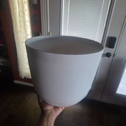12" plant pot