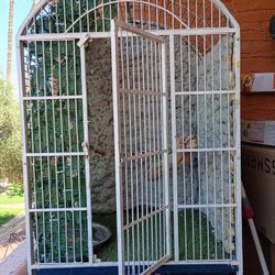 Reptile Enclosure 