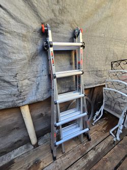 Ladder (Free Delivery🚚)