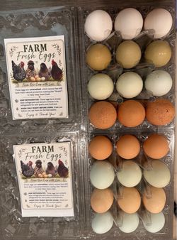 Farm Fresh Eggs $6