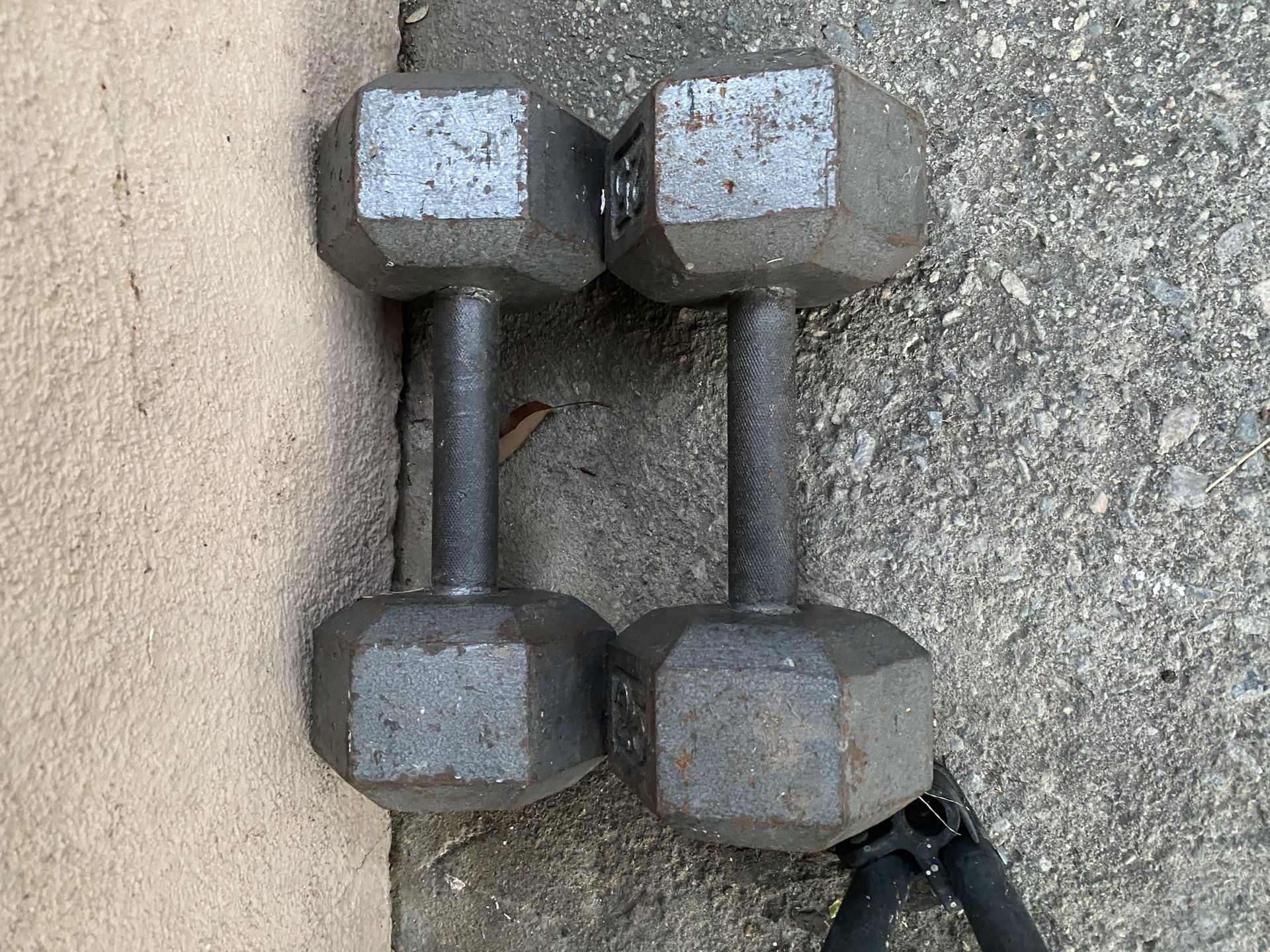 25lb weights