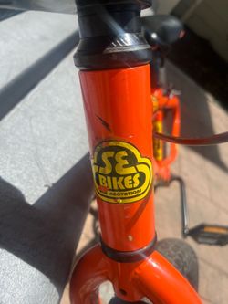 Basher SE BIKE. 24 inch