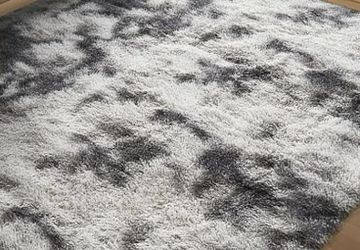 Living Room Area Rug/Carpet