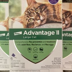 Advantage ll Large Cat Flea Treatment & Prevention | Cats Over 9lbs | 6-Month Supply