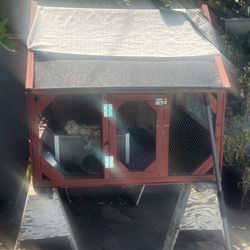 Bird or any reptile house