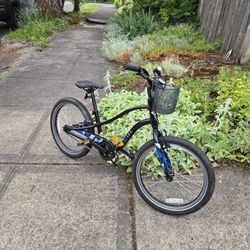 Kids 20" Electra Bike