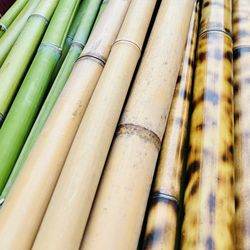 Bamboo Poles & Craft Bamboo – Multiple Sizes Available