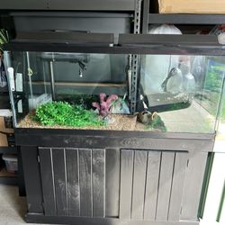 55 Gallon Tank