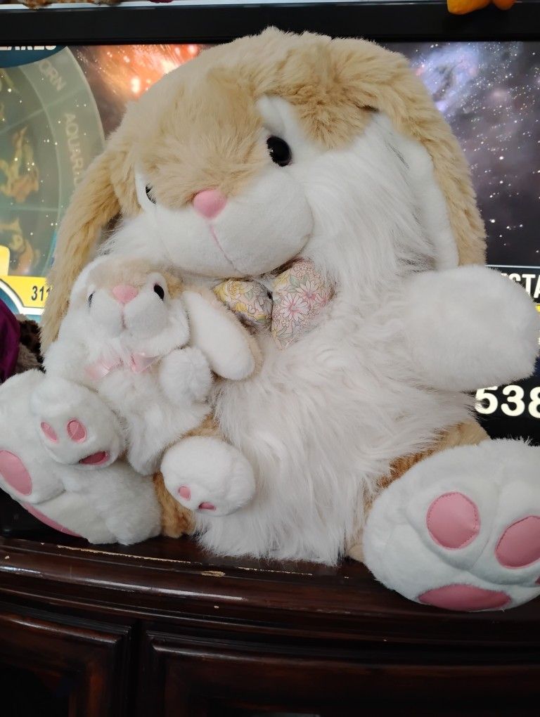 I Have This Big Mama Bunny And Little Baby Bunny It's Pretty Big