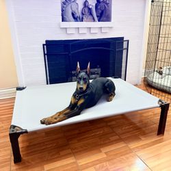 Large Dog Pet Trampoline Style Bed Gray