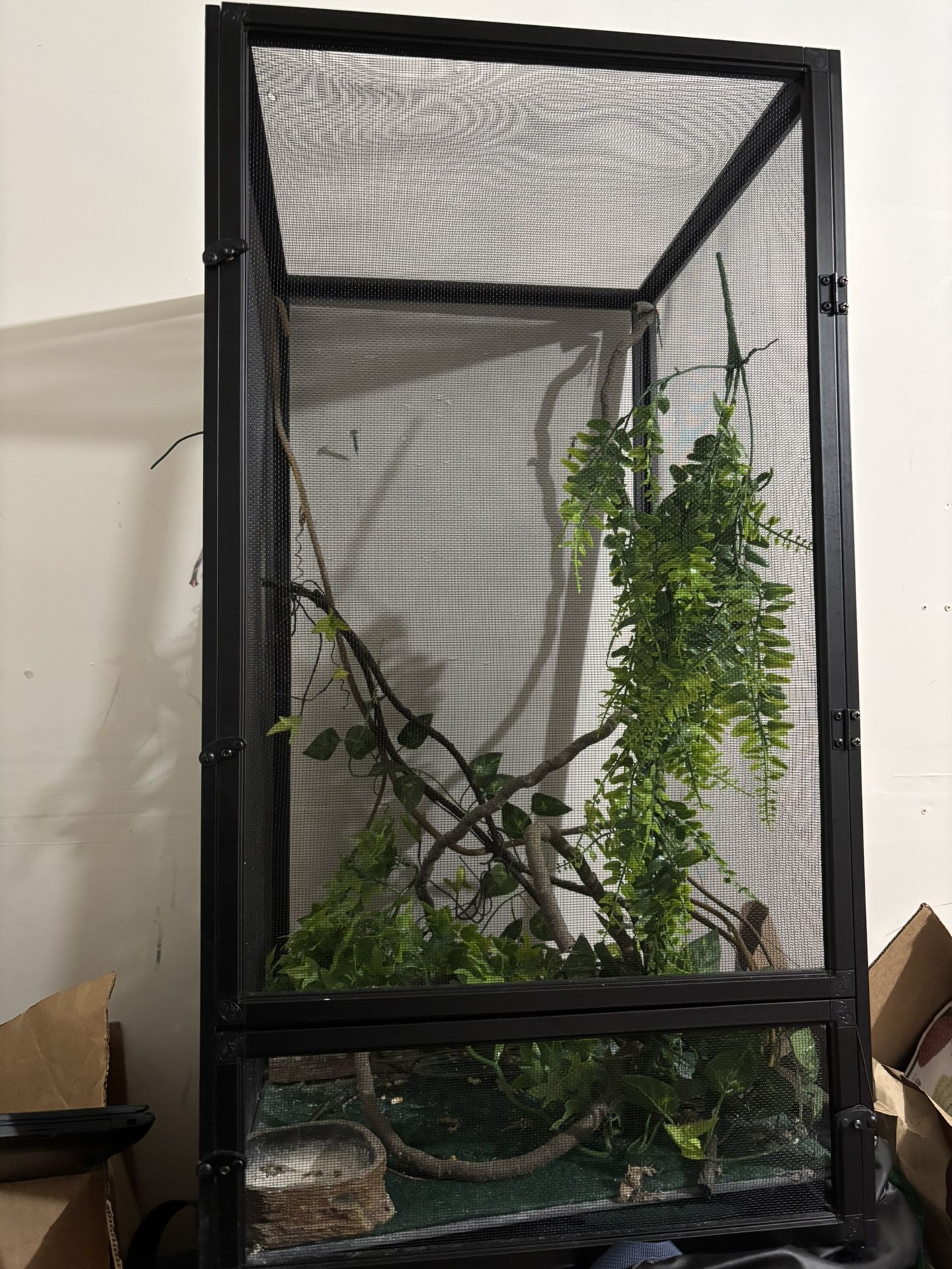 Reptile Enclosures And More!
