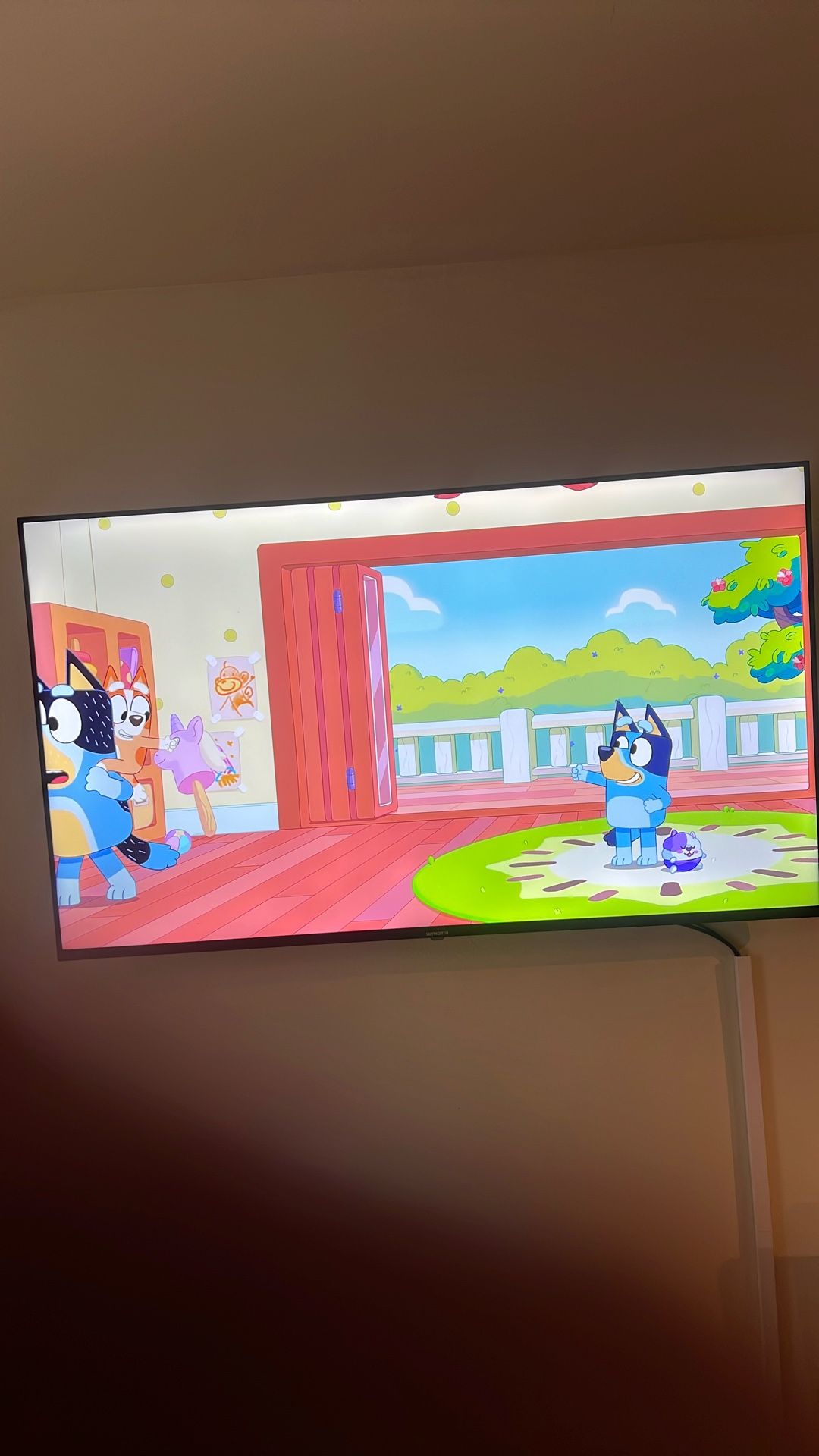55 Inch
