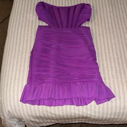 Purple/Pink Mini Dress Fashion Nova Size LARGE