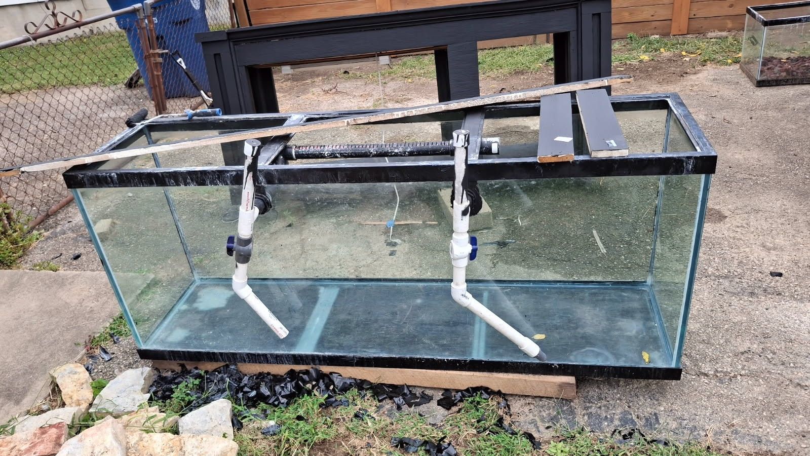 Fish Aquarium