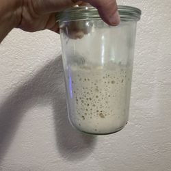 Organic Active Sourdough Starter $8
