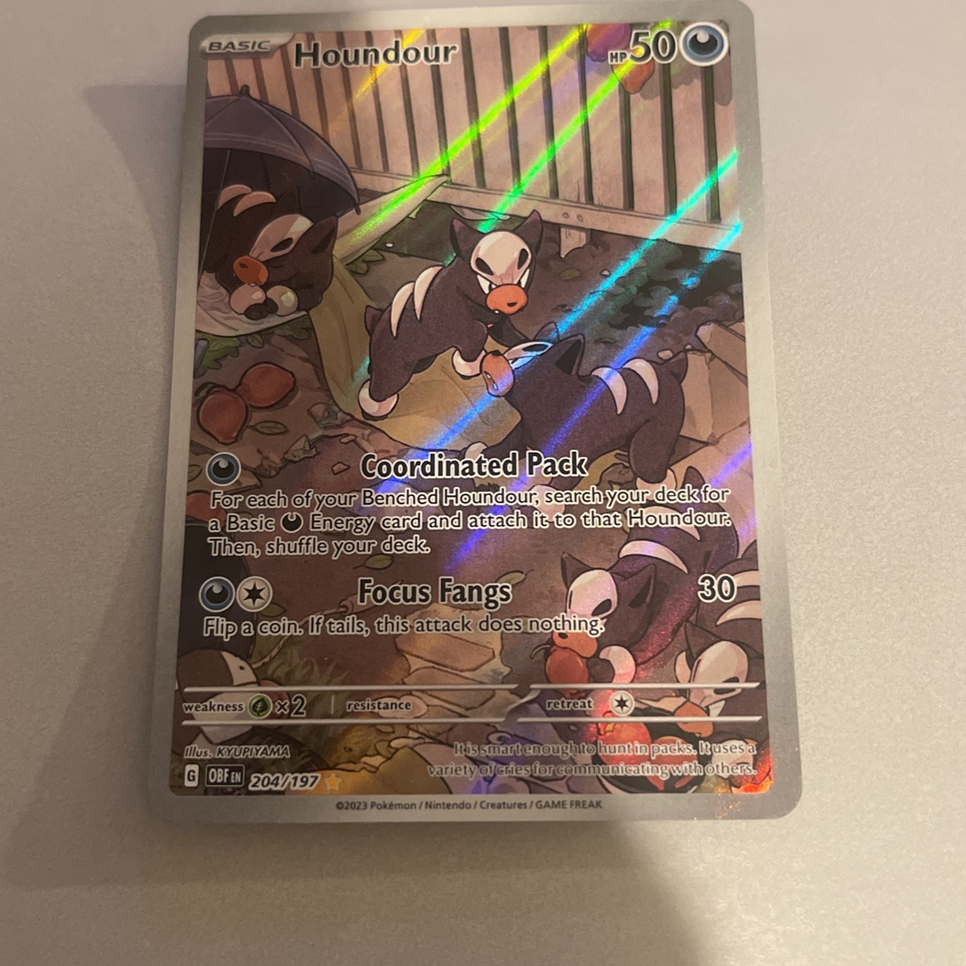Houndour