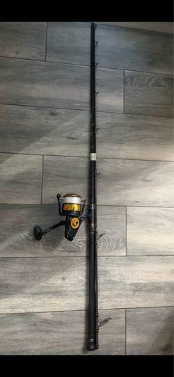 Penn rod and reel