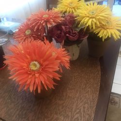 Five Artificial Plants/all $30