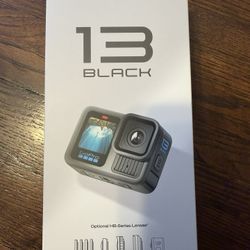 Go Pro 13 BLACK HERO