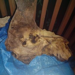 Aquarium Driftwood  Moponi Wood