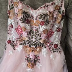 Blush Pink Dress Embroidered / Party / Quince / Prom 