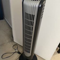 Fan With Remote 