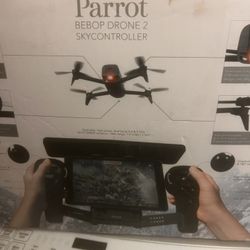 Parrot drone 