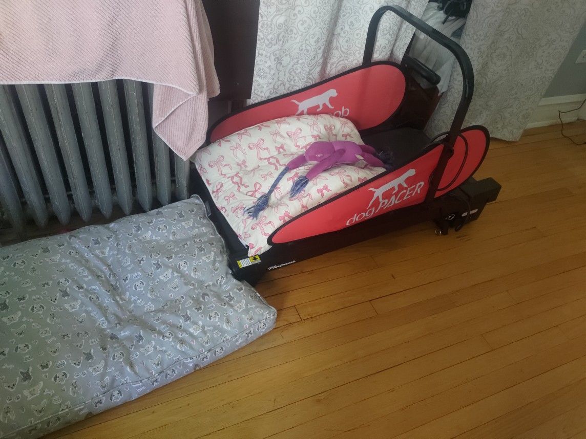 Dog Treadmill Small