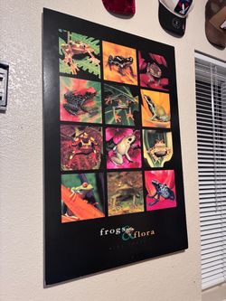 Frogs & Flora Frog Photography Poster