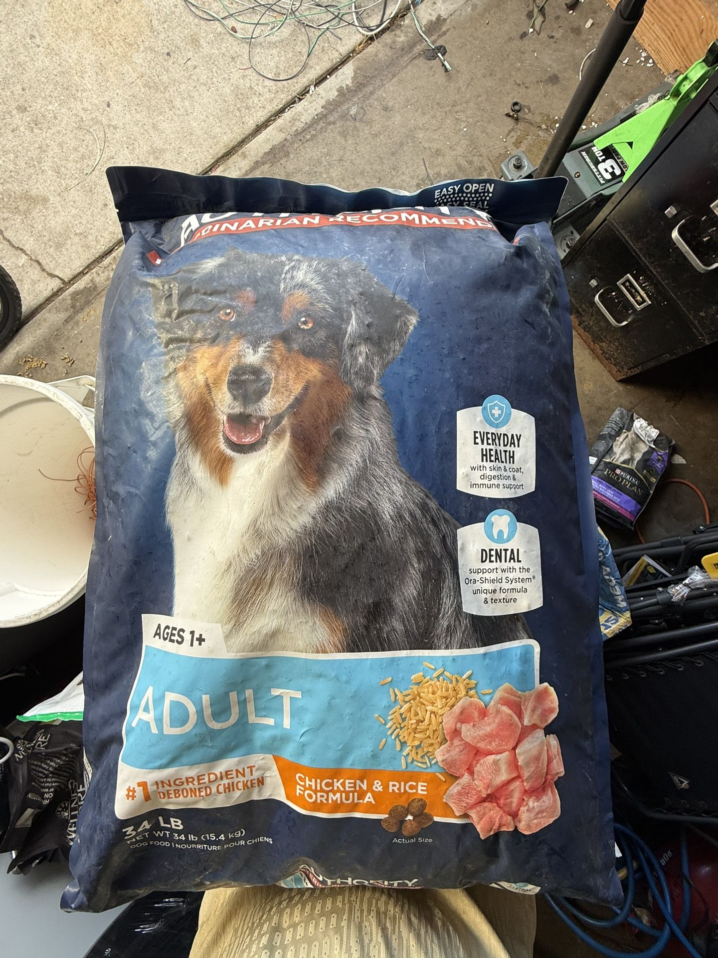 Dog Food 