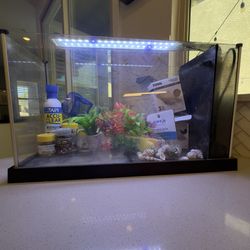 Fluval Spec V Aquarium Kit – 5 Gallon with Filter, LED Light, Food & Decor