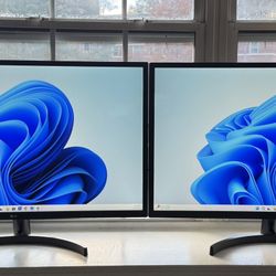 LG 31.5 Inch Full HD IPS Monitor with AMD FreeSync™