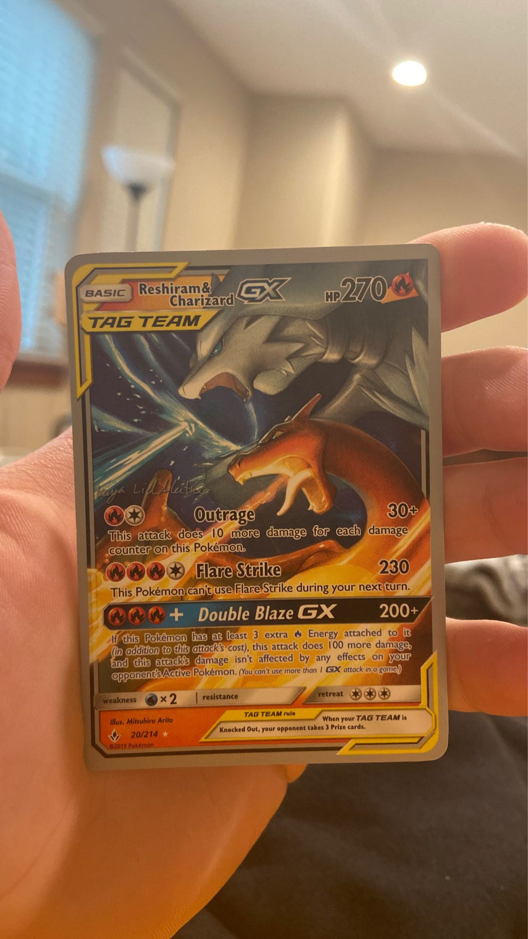 Reshiram x charizard GX pokemon