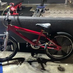 Mongoose Model R2240TR