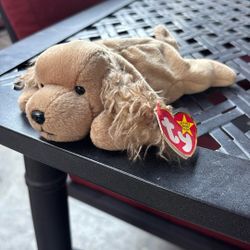 TY Beanie Baby Spunky