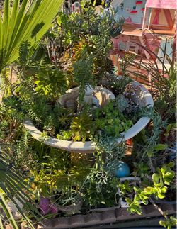 Concrete Tiered Bird Bath Planter
