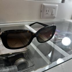 Coach Sunglasses 