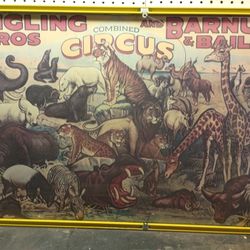 Ringling Bros And Barnum Bailey  Circus 