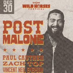 Two Tickets Wild Horses Festival With Post Malone At Petco Park Monday December 30
