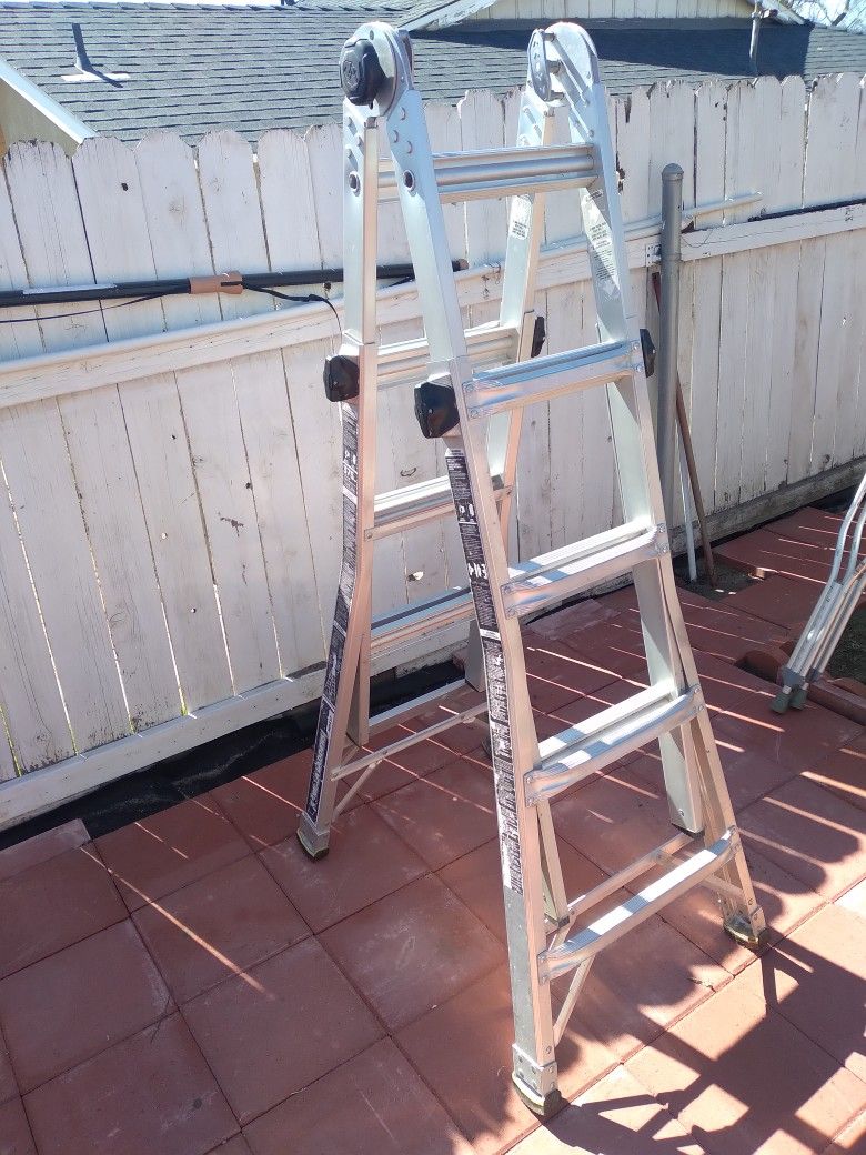 Gorilla Ladder 22ft