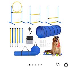 Backyard Dog Agility Set 