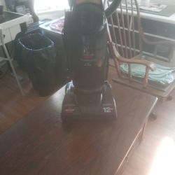 Bristle Power Force Vacuum Works Great.