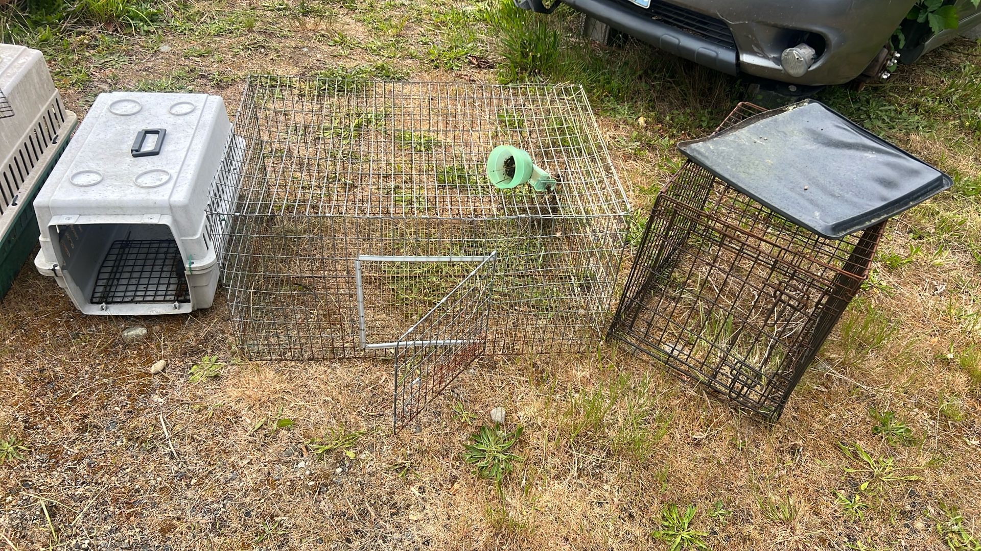 Wire Animal Cage