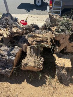 Firewood leña free firewood leña gratis