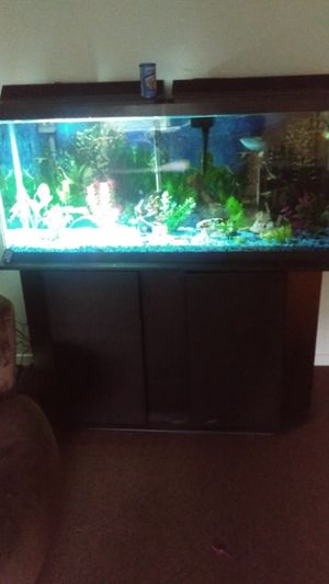 New And Used Fish Tank Decorations For Sale In Anchorage Ak Offerup