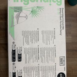 Ingenuity Swing-2-seat Portable Swing With Power Adapter 
