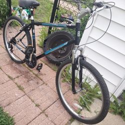 Diamondback Wildwood 19 Inch Bike 