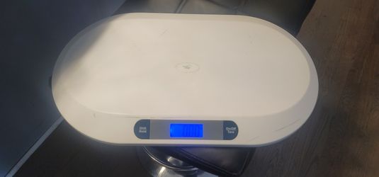 Digital Scale