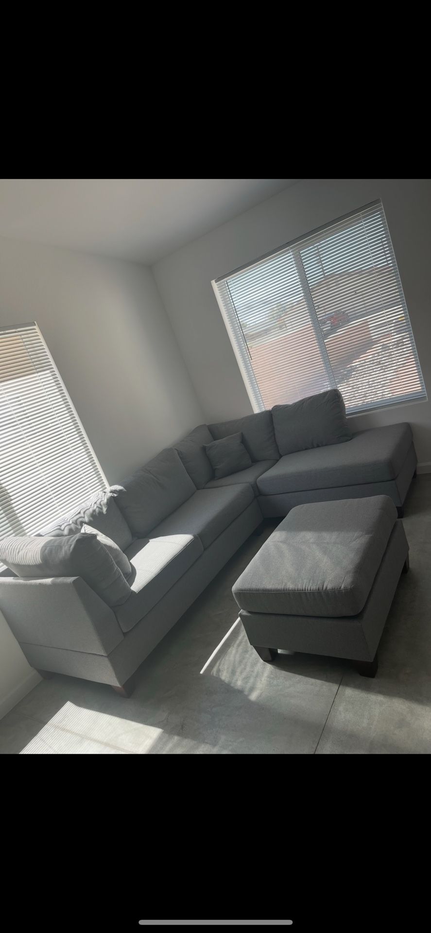 Sectional Couch