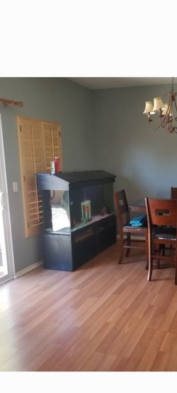 120 Glass Fish Tank And Stand 